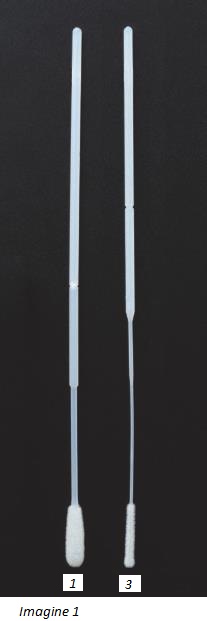 Tampoane - sistem de recoltare si transport al probelor microbiologice - Virus