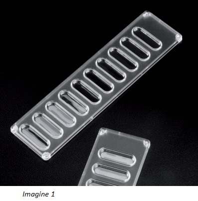 Placă cu 10 godeuri pentru testarea grupelor sanguine