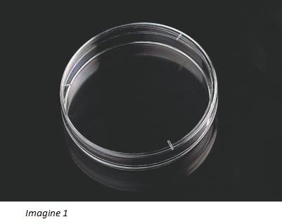 Plăci Petri 90 x 14 mm