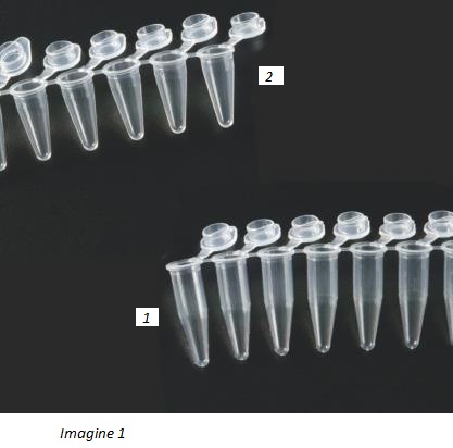 Tuburi PCR în strip, cu capac atașat cu bridă flexibilă