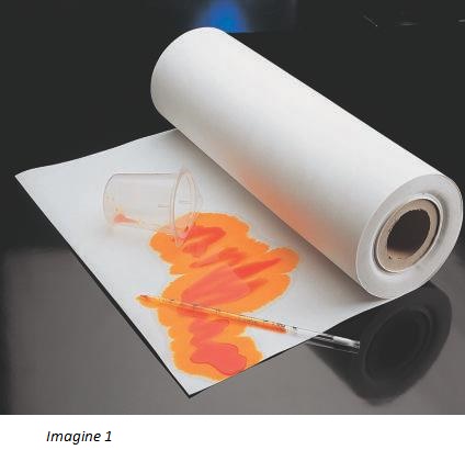 H&acirc;rtie absorbantă