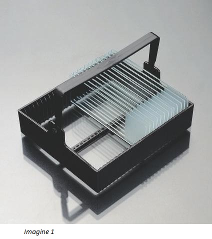 Stativ pentru colorarea lamelelor