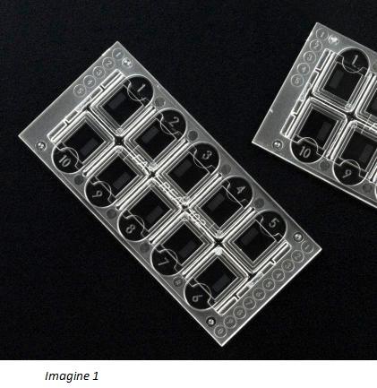 Placa pentru numararea rapida a celulelor sedimentare urinare